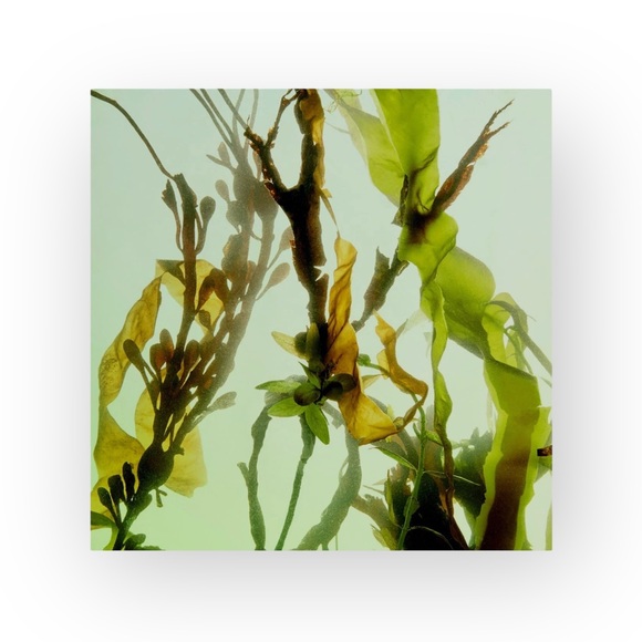 new Tata Harper 𖦹 Rejuvenating Serum 𖦹 Intensive Age Defense 𖦹 Luxury Travel - Picture 3 of 15